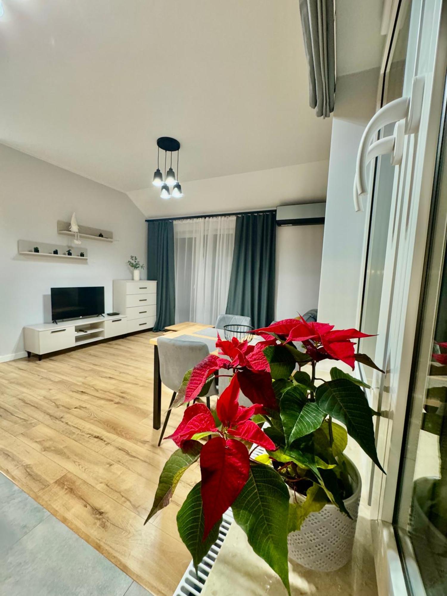 Apartament Olenka بوسكوزدروي المظهر الخارجي الصورة