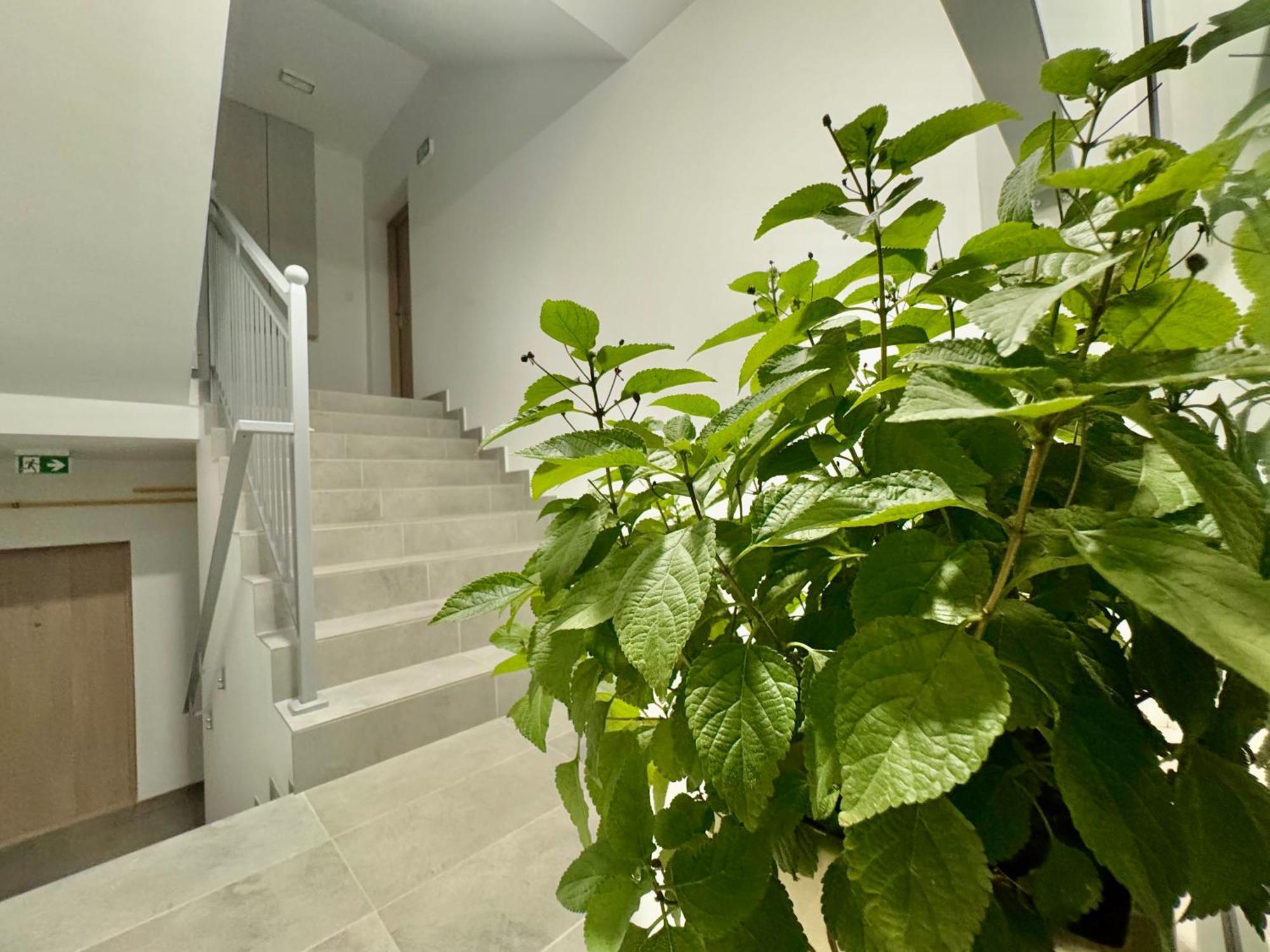 Apartament Olenka بوسكوزدروي المظهر الخارجي الصورة